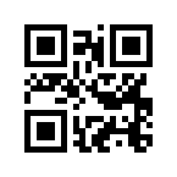 011000000311333